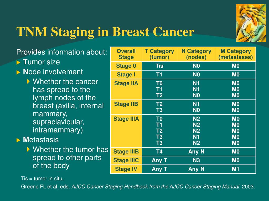 ajcc breast cancer staging
